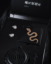 Load image into Gallery viewer, [🎶SG] EARACOUSTIC AUDIO SPA-LIMITED EDITION SILVER SNAKE COLLECTORS&#39; VERSION - Dynamic Driver In-Ear Monitors
