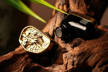 Load image into Gallery viewer, [🎶SG] TANGZU LI ZHI - Flagship Diamond Diaphragm Single Dynamic Driver IEMs

