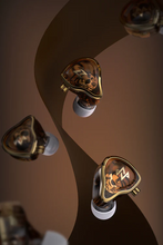 Load image into Gallery viewer, [🎶SG] NF ACOUS NA20 Music Series Dynamic Driver In-Ear Monitor
