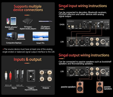 Load image into Gallery viewer, [🎶SG] FX AUDIO L06 - Fully Balanced Digital Power Amplifier
