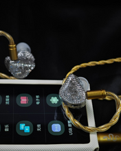 Load image into Gallery viewer, [🎶SG] EARACOUSTIC AUDIO SPA-LIMITED EDITION SILVER SNAKE COLLECTORS&#39; VERSION - Dynamic Driver In-Ear Monitors
