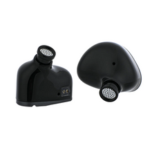 Load image into Gallery viewer, [🎶SG] KIWI EARS CANTA 1 DD + 2 Planar Hybrid In-ear Monitors
