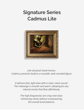 Load image into Gallery viewer, [🎶SG] EFFECT AUDIO CADMUS LITE Signature Series 4 Wires Earphone Cable
