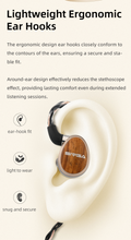 Load image into Gallery viewer, [🎶SG] SIVGA NIGHTINGALE PRO - Planar Magnetic Driver Wired HiFi Earphones
