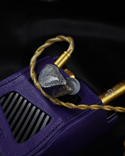 Load image into Gallery viewer, [🎶SG] EARACOUSTIC AUDIO SPA-LIMITED EDITION SILVER SNAKE COLLECTORS&#39; VERSION - Dynamic Driver In-Ear Monitors
