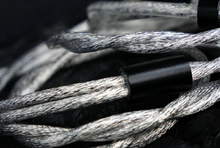 Load image into Gallery viewer, [🎶SG] TANGZU X AZLA NOIR BLANC - 1 Dynamic Driver + 3 Balanced Armature Driver In-Ear Monitor
