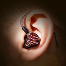 Load image into Gallery viewer, [🎶SG] AFUL PERFORMER 8S - 1DD + 6BA + 1 Passive Radiator + 1 Micro Planar Driver IEMs
