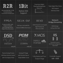 Load image into Gallery viewer, [🎶SG] GUSTARD R30 - Fully Discrete R2R DAC
