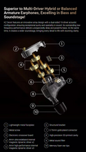 Load image into Gallery viewer, [🎶SG] KZ DECET - 10 Dynamic Drivers In-Ear Monitors (IEM)
