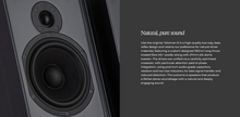 Load image into Gallery viewer, [🎶SG] RUARK AUDIO TALISMAN-R - Floorstanding Speakers (Talisman R)
