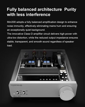 Load image into Gallery viewer, [🎶SG] TOPPING Mini 300 - Compact Desktop Power Amplifier
