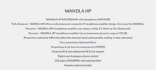 Load image into Gallery viewer, [🎶SG] Ferrum Audio WANDLA HP - ES9038PRO DAC and Headphone Amplifier
