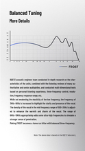 Load image into Gallery viewer, [🎶SG] BQEYZ Weather Series FROST - 10mm Dynamic Driver + Micro Planar Transducers IEM
