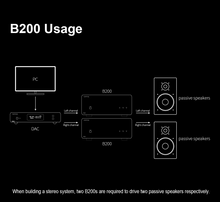 Load image into Gallery viewer, [🎶SG] TOPPING B200 Ultra-high Performance Mono Power Amplifier
