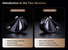 Load image into Gallery viewer, [🎶SG] KZ DECET - 10 Dynamic Drivers In-Ear Monitors (IEM)

