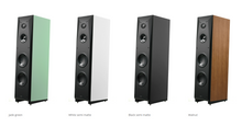 Load image into Gallery viewer, [🎶SG] EPOS ES-28N - 3-Way Floor Standing Speakers (ES28N)
