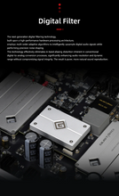 Load image into Gallery viewer, [🎶SG] GUSTARD R30 - Fully Discrete R2R DAC
