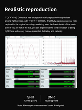 Load image into Gallery viewer, [🎶SG] TOPPING Centaurus R2R Digital to Analog Convertor (DAC)
