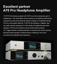 Load image into Gallery viewer, [🎶SG] TOPPING Centaurus R2R Digital to Analog Convertor (DAC)
