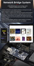 Load image into Gallery viewer, [🎶SG] GUSTARD R30 - Fully Discrete R2R DAC
