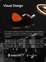 Load image into Gallery viewer, [🎶SG] ARISYN HUO SHU (HUOSHU) - 10mm LCP Composite Diaphragm Dynamic Driver Earphone
