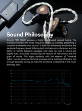 Load image into Gallery viewer, [🎶SG] ARISYN BAI YONG (BAIYONG) - 10mm LCP Composite Diaphragm Dynamic Driver + MEMs IEMs
