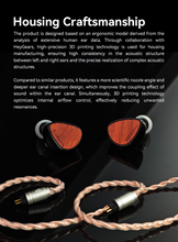 Load image into Gallery viewer, [🎶SG] ARISYN HUO SHU (HUOSHU) - 10mm LCP Composite Diaphragm Dynamic Driver Earphone
