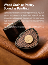 Load image into Gallery viewer, [🎶SG] ARISYN BAI YONG (BAIYONG) - 10mm LCP Composite Diaphragm Dynamic Driver + MEMs IEMs
