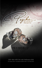 Load image into Gallery viewer, [🎶SG] MOONDROP PSYCHE 2 DD + 4 BA + 4 Planar In-ear Monitors
