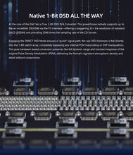 Load image into Gallery viewer, [🎶SG] GUSTARD R26 II - Discrete R2R Network Streaming DAC (R26II)
