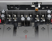 Load image into Gallery viewer, [🎶SG] GUSTARD R30 - Fully Discrete R2R DAC
