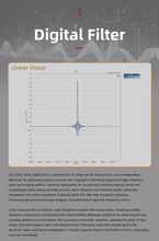 Load image into Gallery viewer, [🎶SG] GUSTARD R30 - Fully Discrete R2R DAC
