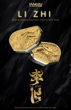 Load image into Gallery viewer, [🎶SG] TANGZU LI ZHI - Flagship Diamond Diaphragm Single Dynamic Driver IEMs
