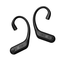 Load image into Gallery viewer, [🎶SG] KZ AN01 Bluetooth 5.4 LDAC ANC Ear Hooks

