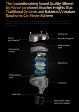 Load image into Gallery viewer, [🎶SG] KZ PRX Fourth-generation Newly Designed Planar Diaphragm IEM with MIC
