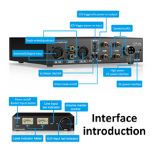 Load image into Gallery viewer, [🎶SG] FX AUDIO L06 - Fully Balanced Digital Power Amplifier
