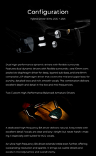 Load image into Gallery viewer, [🎶SG] DUNU x KOTO ITO 2DD + 2BA Hybrid Drivers IEMs

