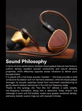 Load image into Gallery viewer, [🎶SG] ARISYN HUO SHU CU Edition - 10mm LCP Composite Diaphragm Dynamic Driver With 4.4mm Balanced IEMs
