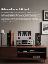 Load image into Gallery viewer, [🎶SG] xDuoo TA68 (TA-68) - Tube Headphone Amplifier &amp; Preamplifier
