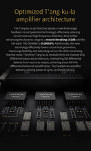 Load image into Gallery viewer, [🎶SG] TOPPING A900 Ultra Flagship Headphone Amplifier &amp; Preamplifier
