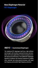 Load image into Gallery viewer, [🎶SG] BQEYZ BQ10 12mm Dual Cavity Dynamic Driver In-Ear Monitors
