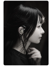 Load image into Gallery viewer, [🎶SG] MOONDROP ARMATURE ART 24 (AA24) - 24 Balanced Armatures In-ear Monitors
