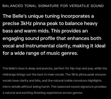 Load image into Gallery viewer, [🎶SG] KIWI EARS BELLE - 10mm DLC Dynamic Driver IEMs
