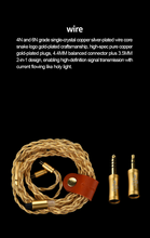 Load image into Gallery viewer, [🎶SG] EARACOUSTIC AUDIO SPA-LIMITED EDITION SILVER SNAKE COLLECTORS&#39; VERSION - Dynamic Driver In-Ear Monitors
