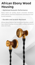 Load image into Gallery viewer, [🎶SG] SIVGA M300 - 15.4mm Large Dynamic Driver Hi-Fi Wired Earbuds
