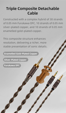 Load image into Gallery viewer, [🎶SG] SENDY AUDIO EGRET - 98*84mm Planar Magnetic Driver Wired Wooden Headphone
