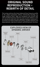 Load image into Gallery viewer, [🎶SG] TANGZU LI YUAN REMAKE EDITION - 10mm Dynamic Driver In-ear Monitors
