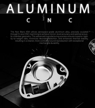 Load image into Gallery viewer, [🎶SG] TANGZU X AZLA NOIR BLANC - 1 Dynamic Driver + 3 Balanced Armature Driver In-Ear Monitor
