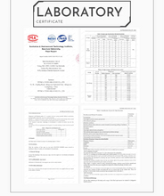 Load image into Gallery viewer, [🎶SG] TANGZU HARMONIC EMPIRE SONIC EARTIPS - IEM Silicone Eartips
