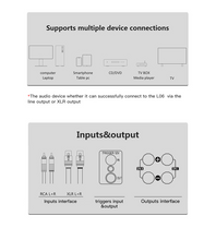 Load image into Gallery viewer, [🎶SG] FX AUDIO L06 - Fully Balanced Digital Power Amplifier
